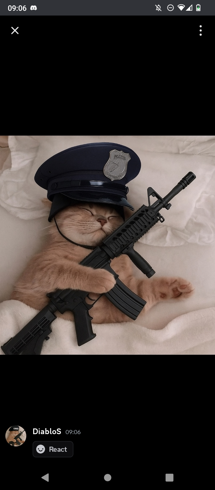 Team Member